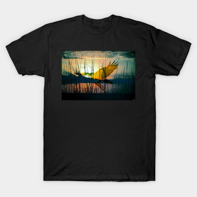 Mornings catch T-Shirt by dltphoto